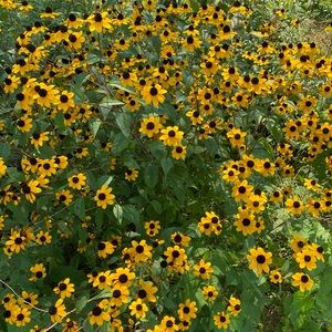 Meet your Posher, Elena